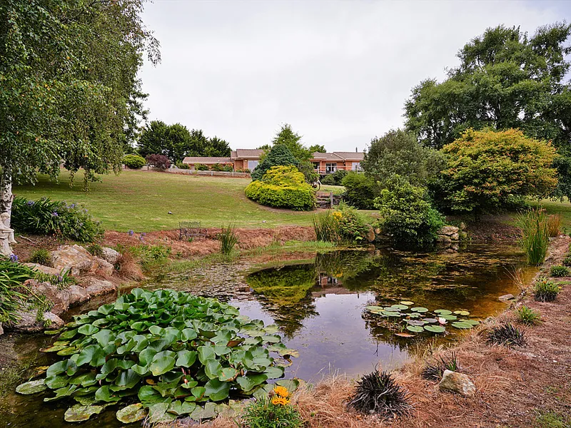 STUNNING GARDEN SETTING