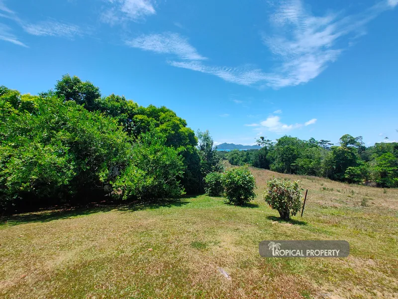 I've Found Your Something Special !