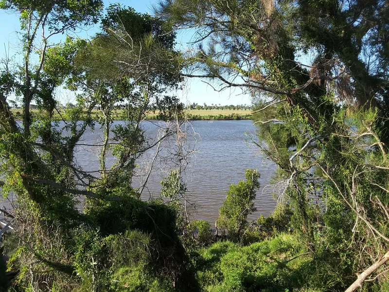 45 acres in town with plenty of water
