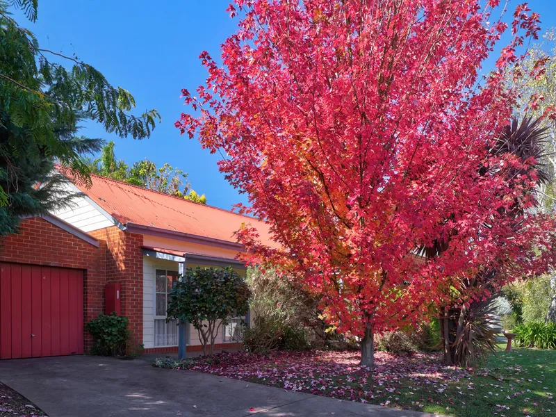 Peaceful, Convenient, & Low-Maintenance Living