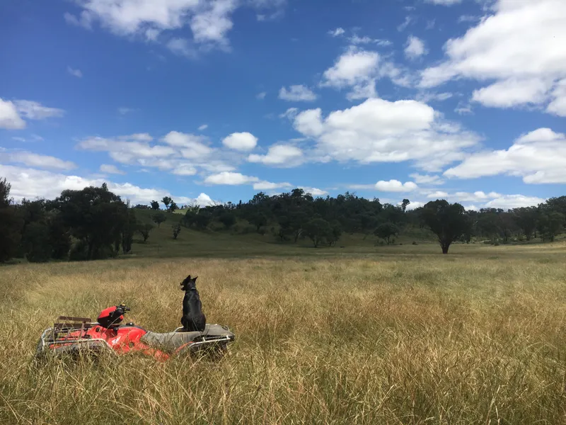 Picturesque Lifestyle with Grazing Cash Flow