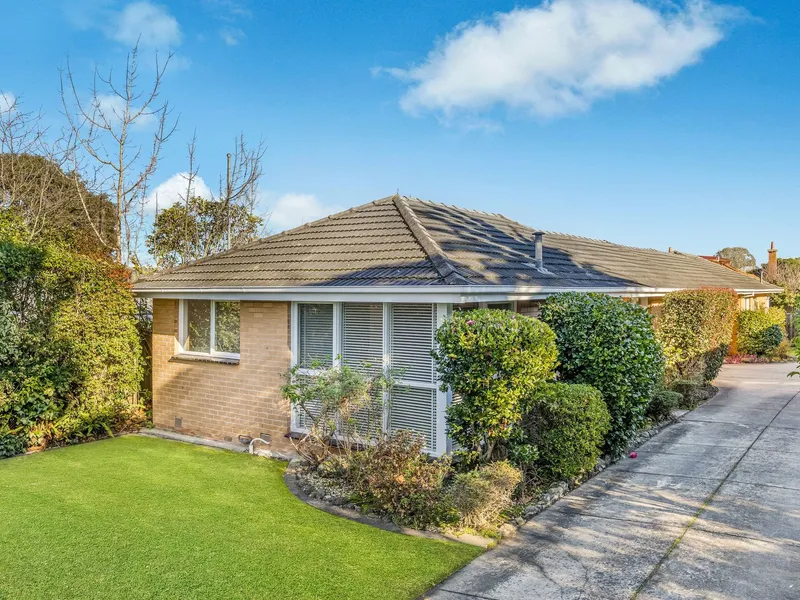Renovator's Dream in Prime Surrey Hills Location