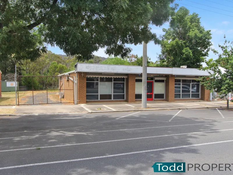 HIGH EXPOSURE COMMERCIAL FREEHOLD