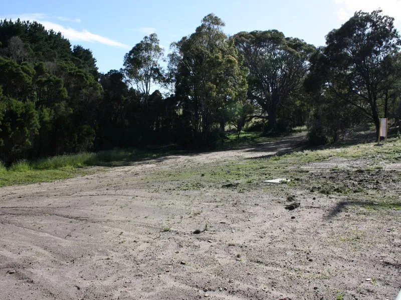 QUIET WITH ROOM TO GROW