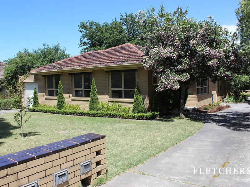 Sunny Courtyard, Leafy Locale