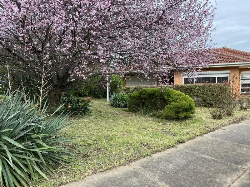 Character Family Home!