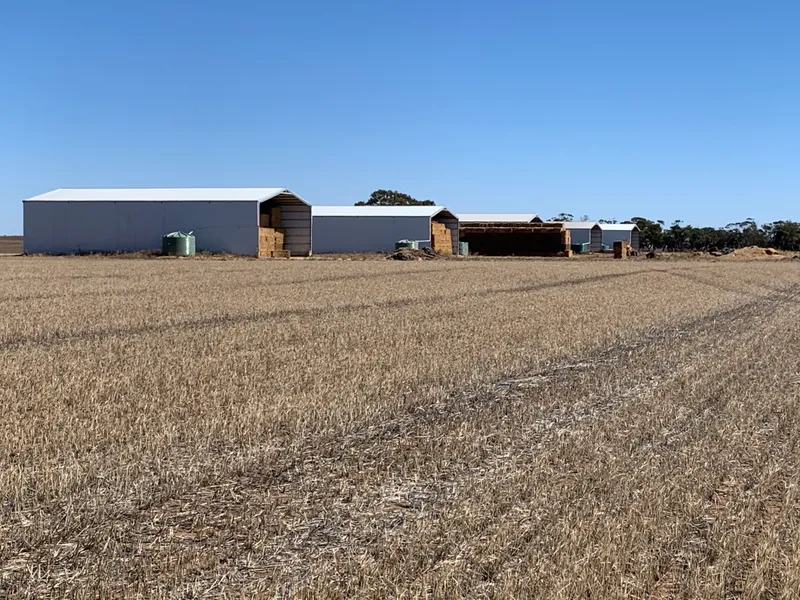 3393 Acres Cropping and grazing land
