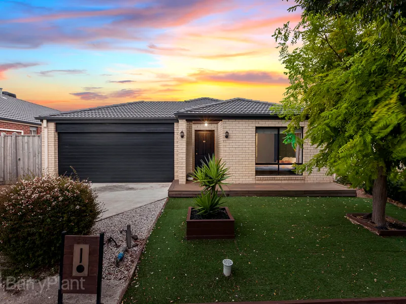 Picture Perfect Alamanda Lifestyle.