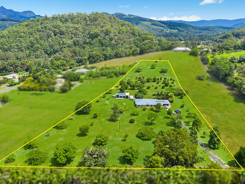 5 acres with Flat land, Ample water, privacy and lovely views
