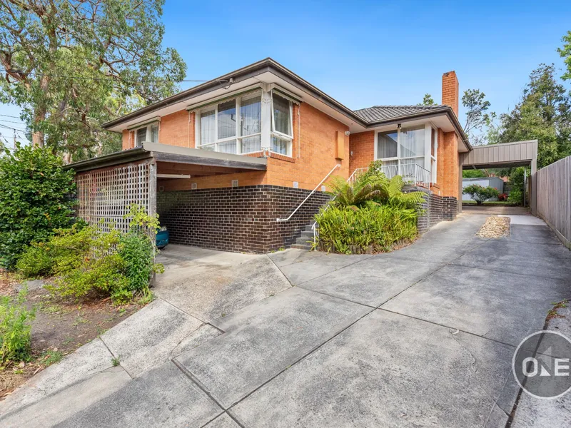 Renovated Family Home close to the Park!