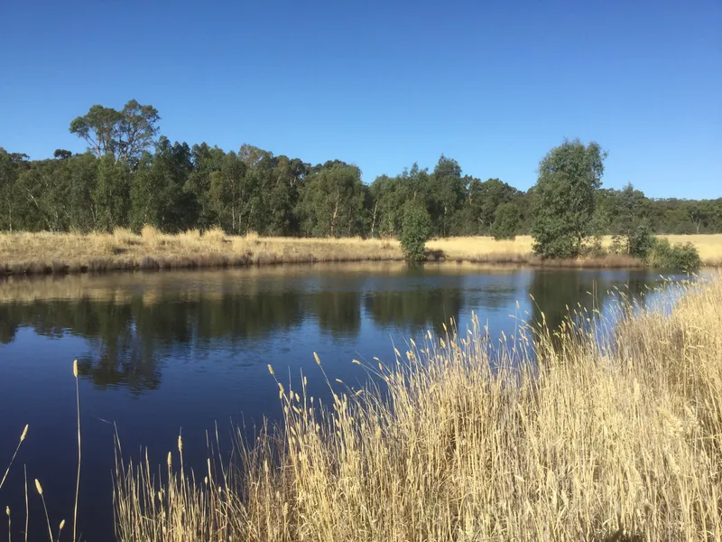 Private Oasis surrounded by bush land