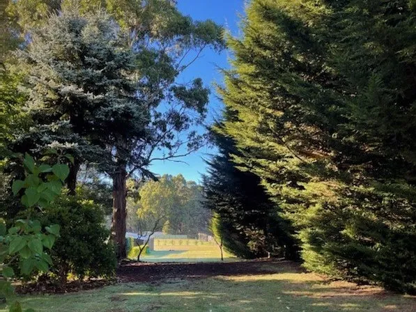 Do you want to build your own home? 