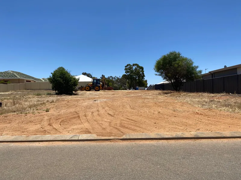 Have You Been Waiting?