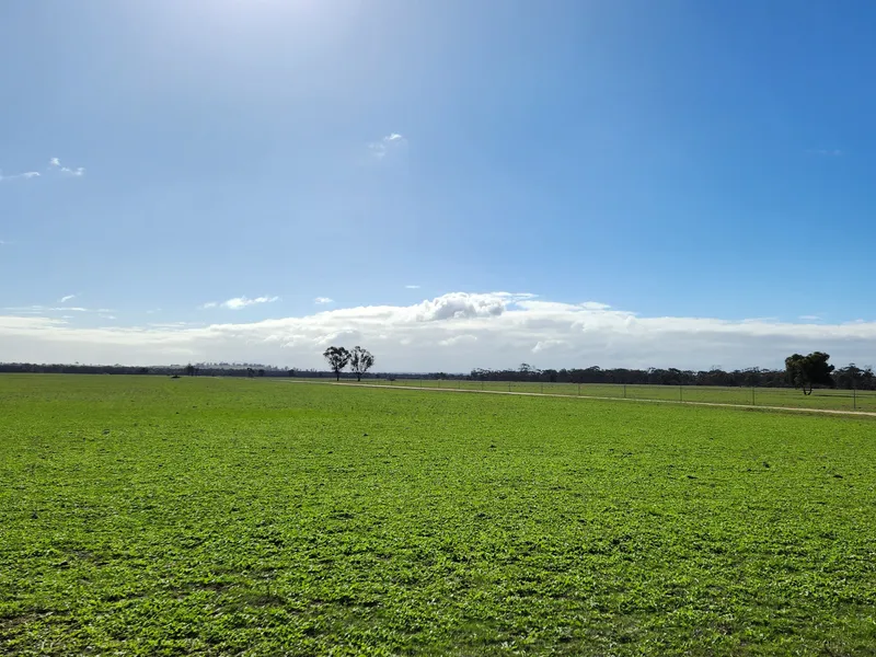 Off Grid property with clean arable land