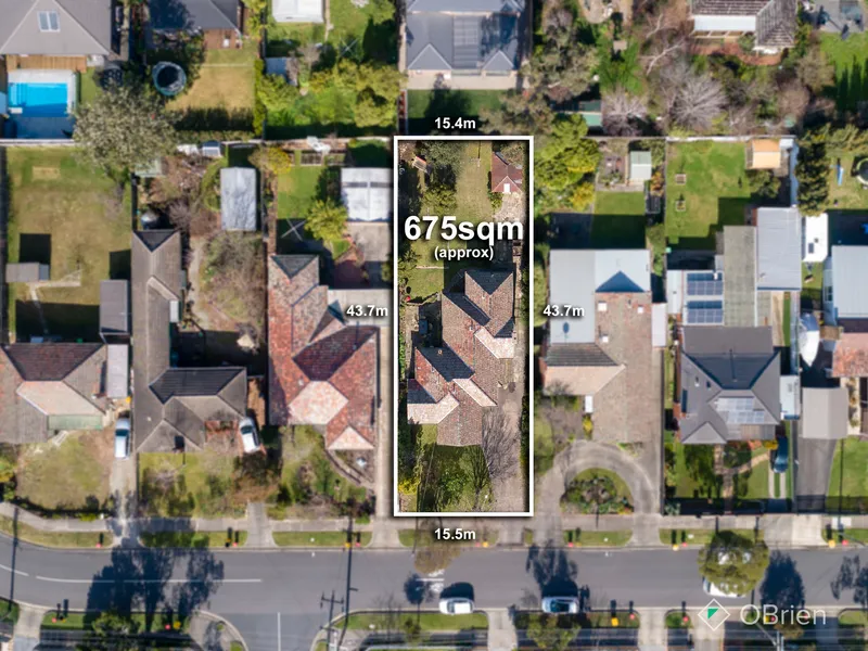 Let Your Imagination Run Wild!