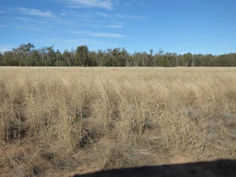 Country living - good soils