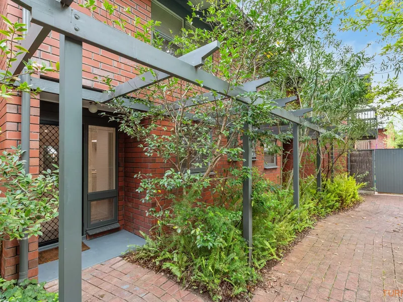 Amongst the Pepper Treetops