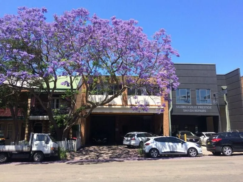Marrickville VERY LARGE 1 bedroom apartment in creative environment
