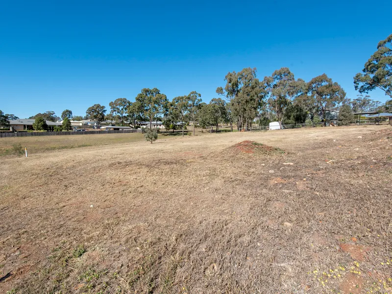 There Are 5 Reasons Why This Is The Best Allotment In 'Rosella Gardens' Estate