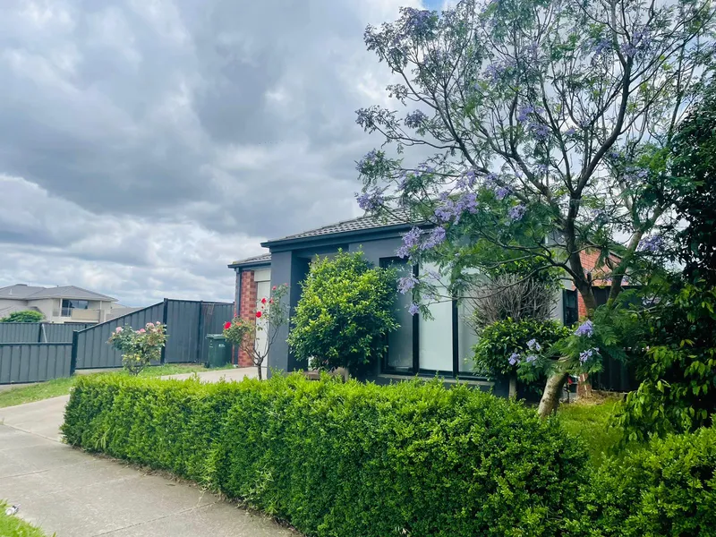 Room to Grow, Space to Thrive: Unwind in Our 3-Bedroom Oasis