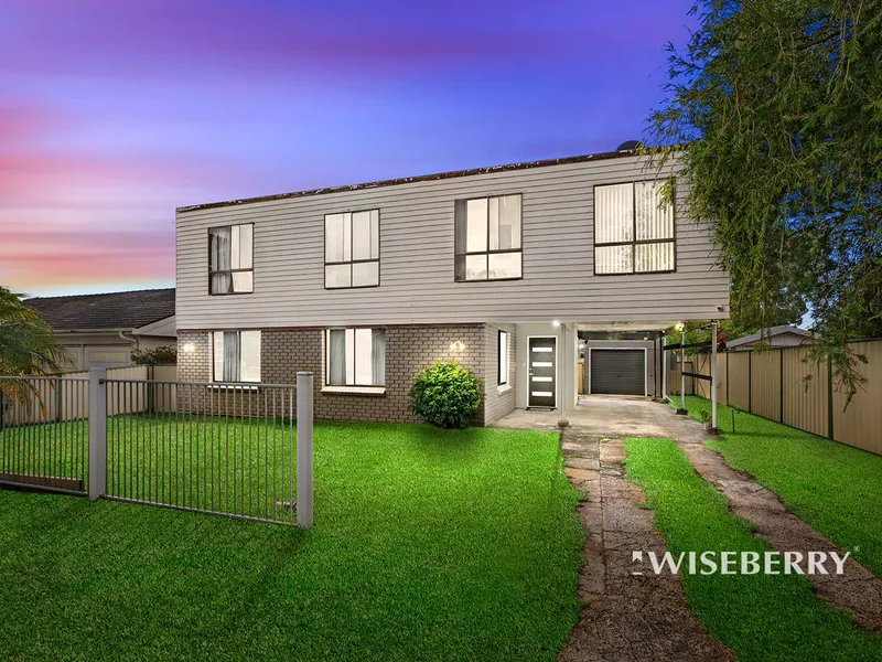 Let Your Imagination Run Wild…