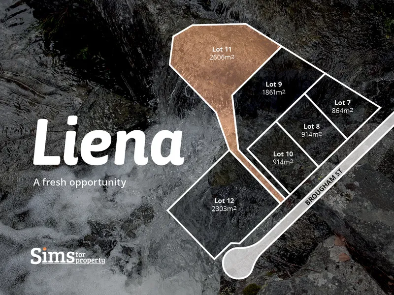 Liena- A Fresh Opportunity