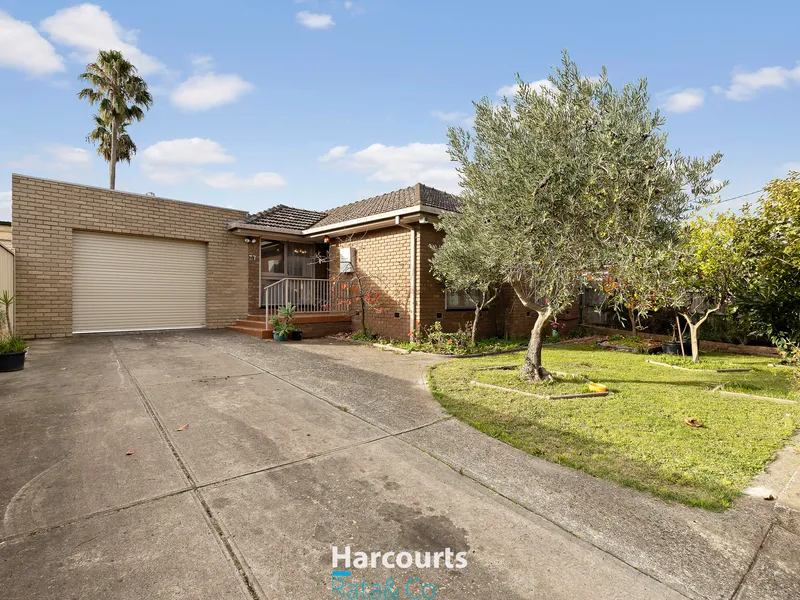 Big, Elevated & Spacious Family Home!