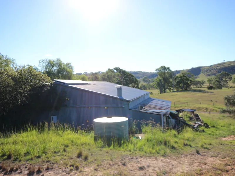 162 ACRES ROLLING HILLS - PERFECT TREE CHANGE