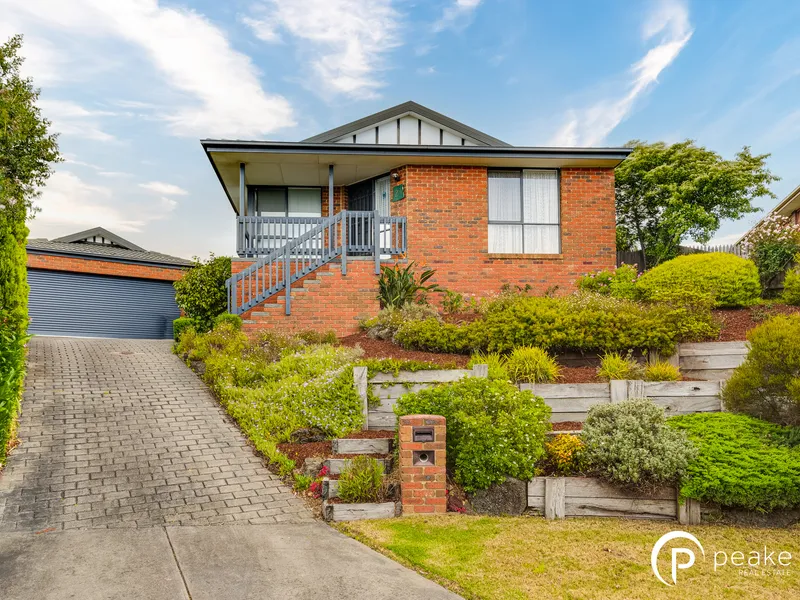 The King Of The Castle