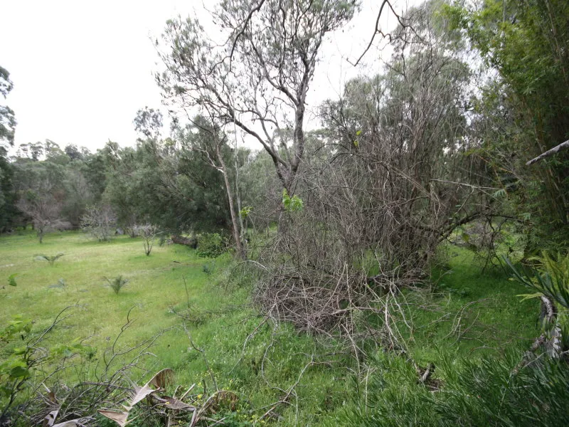 RARE OPPORTUNITY - Grab It While You Can!