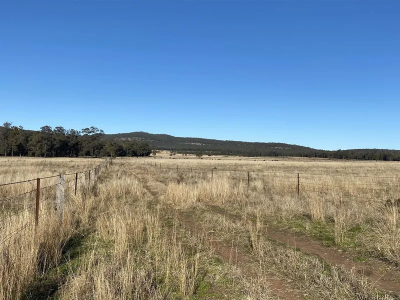 Ideal First Farm or Add-On Grazing Block