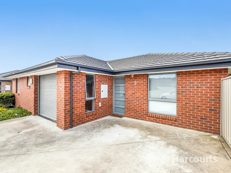 Investment Opportunity