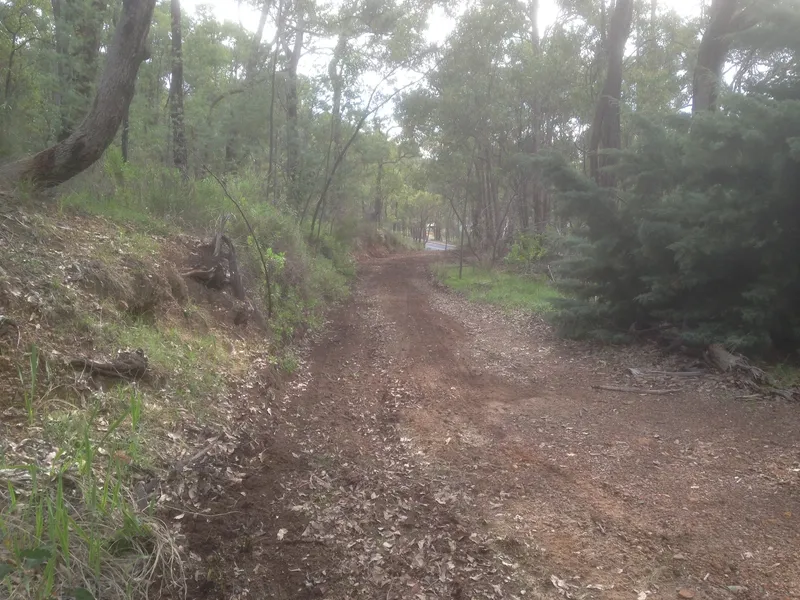 Picturesque 5 acres bush block.