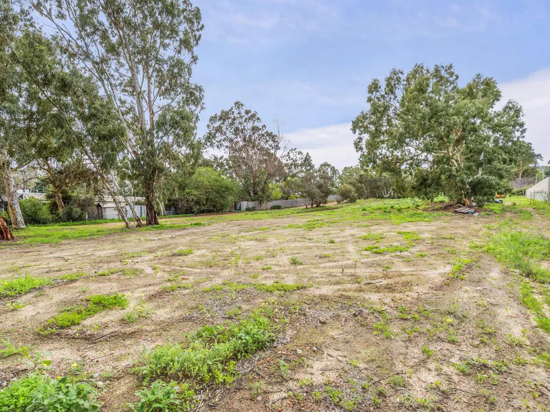 4911sqm OF AWESOMENESS