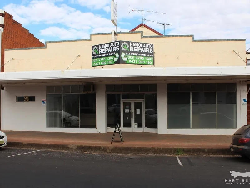 INVESTMENT OPPORTUNITY IN THE CENTRE OF TOWN!!!