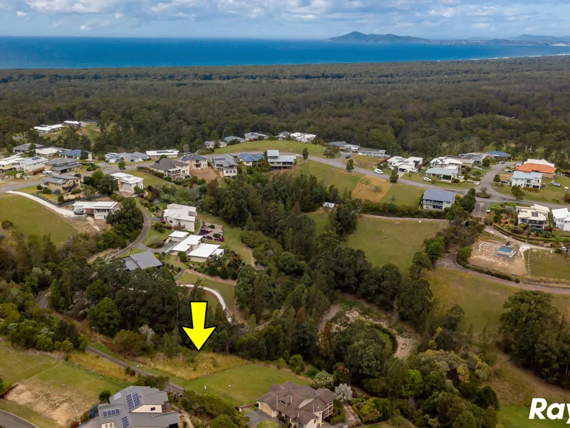 CREATE YOUR OWN MASTERPIECE