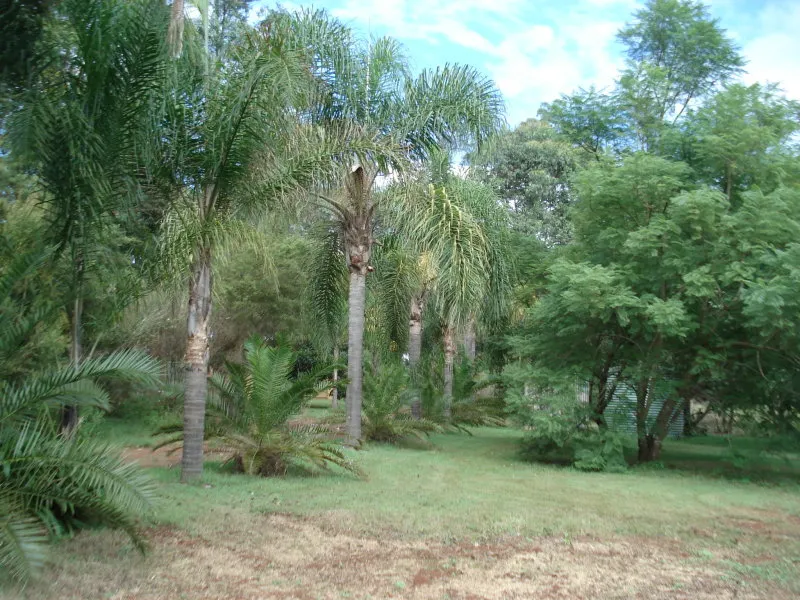 PARADISE on 6.84 ACRES - 3 km TO TOWN