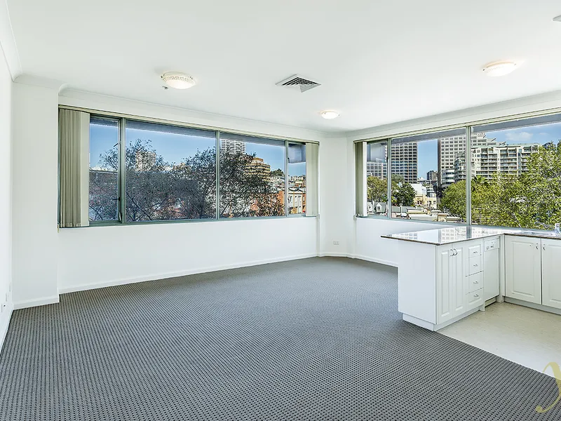 Domain Apartments | Near New Carpet and Paint One Bedroom Apartment