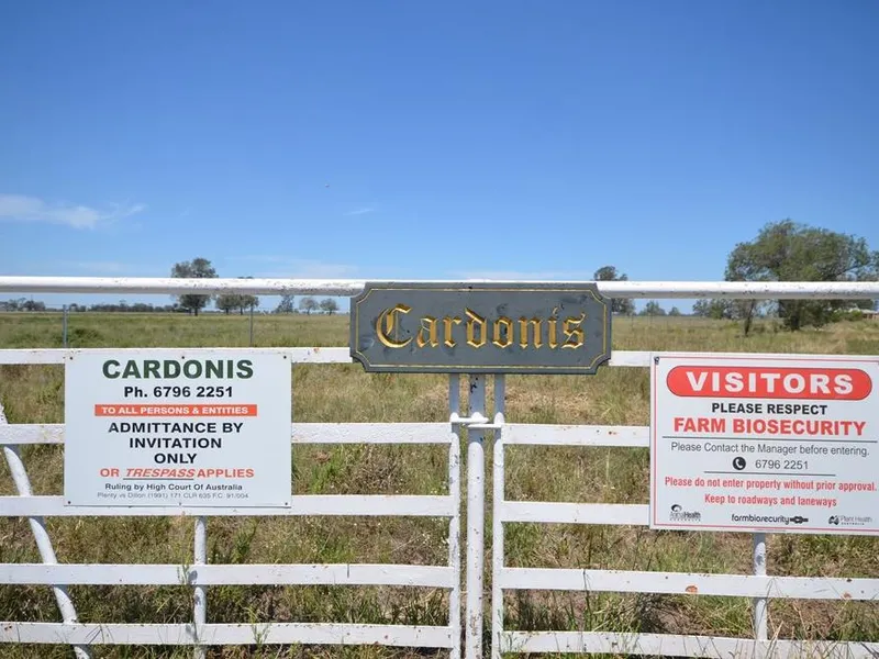 Breed them in Queensland and Fatten them in New South Wales 