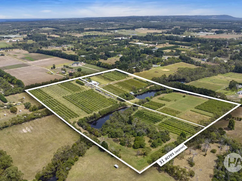 ‘Taylors Orchard’ - 2 X 15 Acre (Approx.) Lots