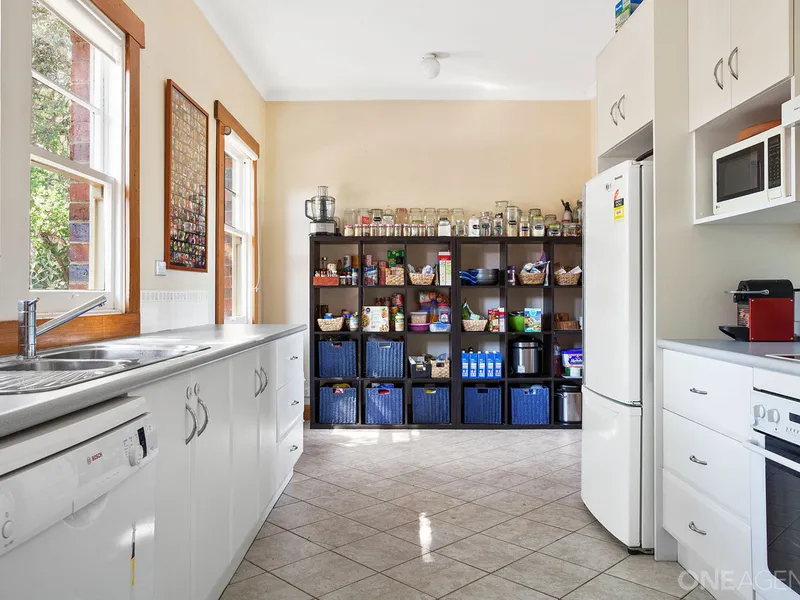 An Abundance of Opportunity!