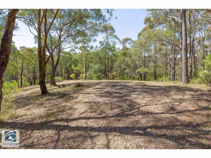 5 Acre Bush Block in Noojee