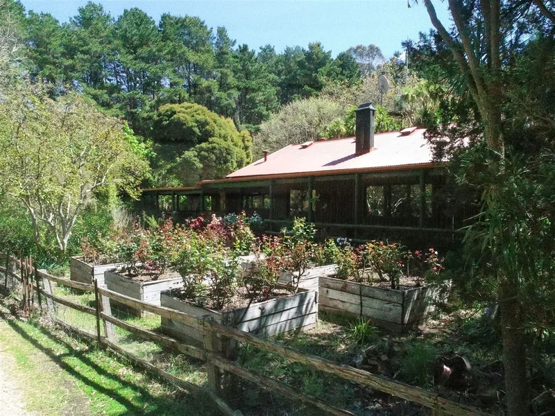 The Enchanted Forest