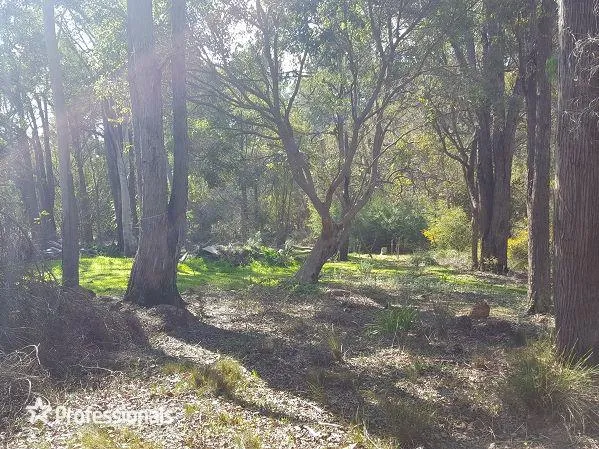 Spacious 4.6 acre block!