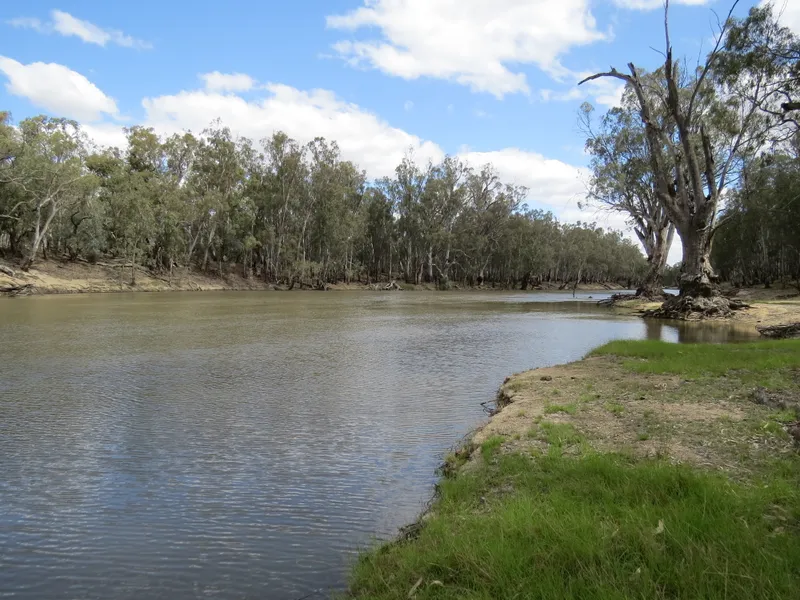 'SELBOURNE' - A RENOWNED DENILIQUIN WATERFRONT PROPERTY