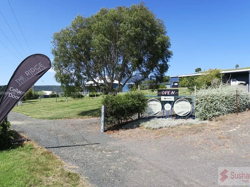 Award winning Vineyard, Award winning Wines