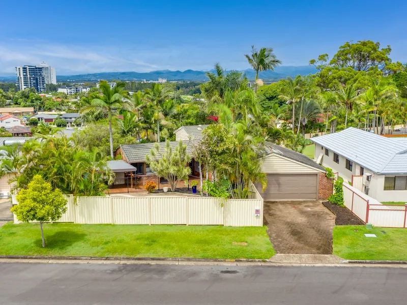 Sanctuary in the City