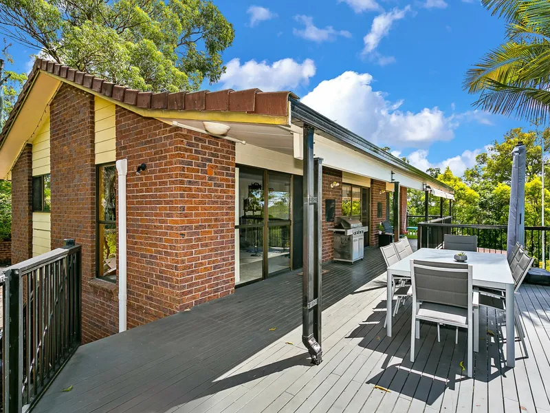 PARADISE right Here!