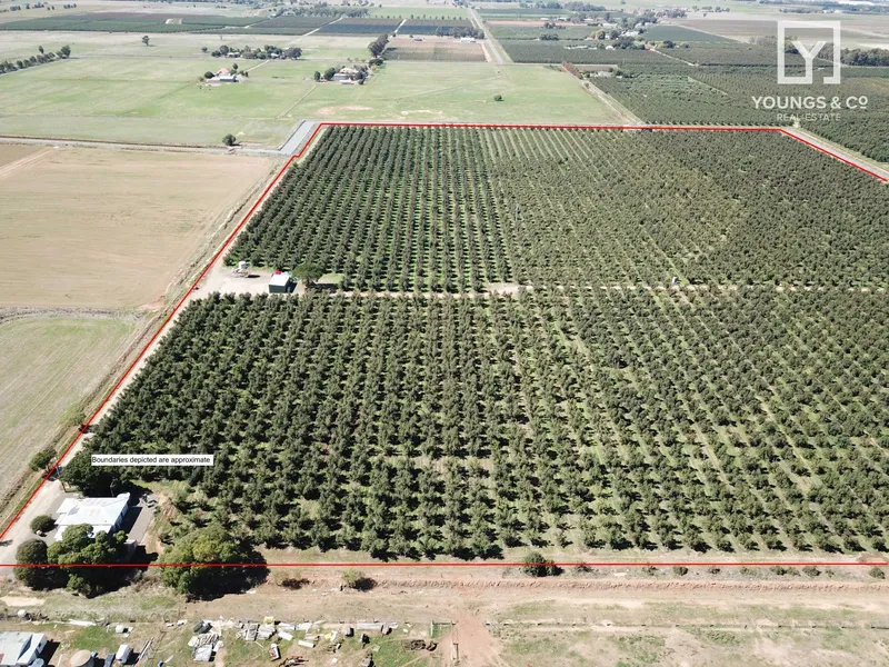 Renowned Orchard District - 50 Acres - Ardmona