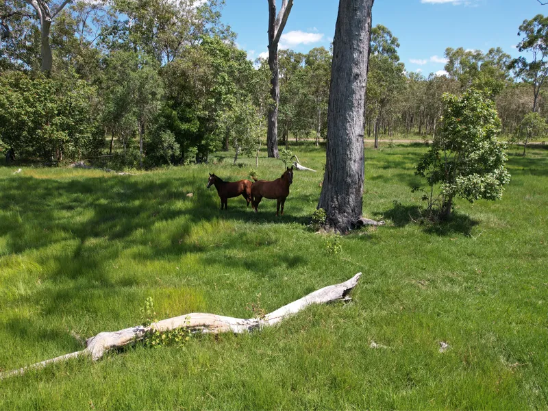Coastal cattle property with the ULTIMATE lifestyle! + Self Sufficiency + Extra income!